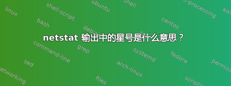 netstat 输出中的星号是什么意思？