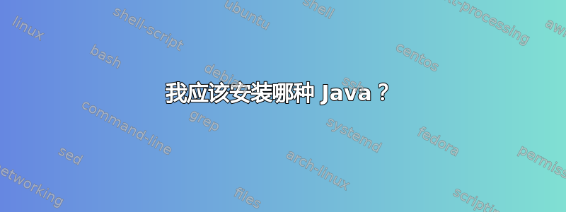 我应该安装哪种 Java？