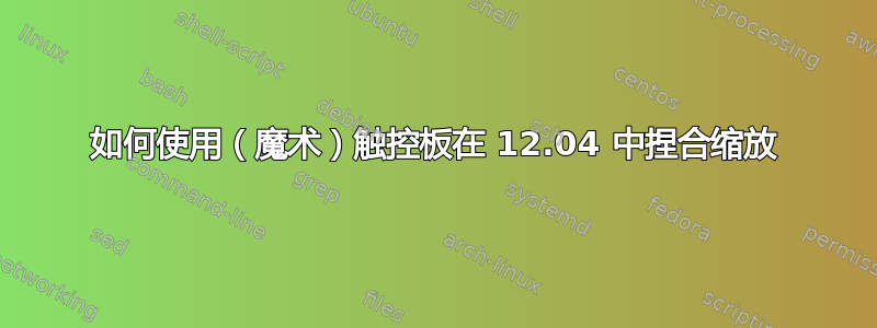 如何使用（魔术）触控板在 12.04 中捏合缩放