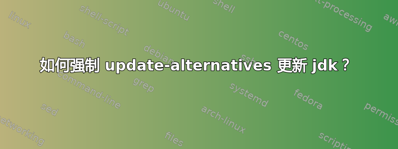 如何强制 update-alternatives 更新 jdk？