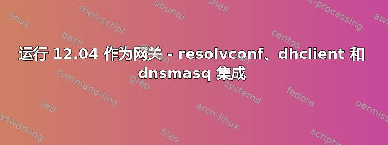 运行 12.04 作为网关 - resolvconf、dhclient 和 dnsmasq 集成