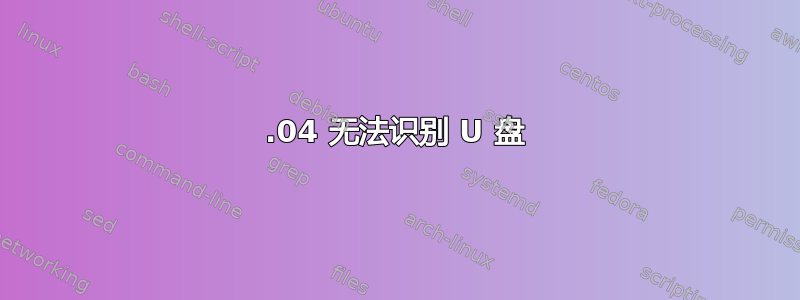 12.04 无法识别 U 盘