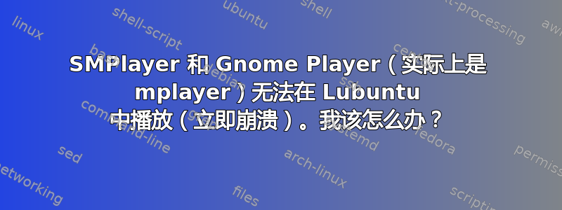 SMPlayer 和 Gnome Player（实际上是 mplayer）无法在 Lubuntu 中播放（立即崩溃）。我该怎么办？