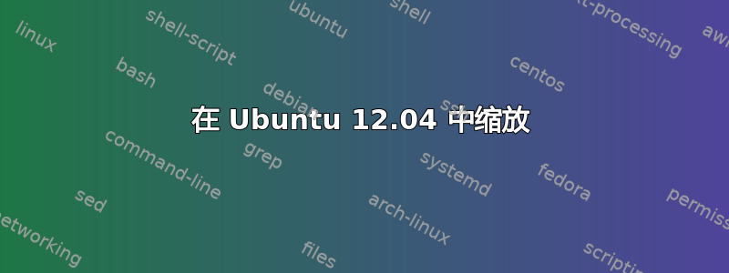 在 Ubuntu 12.04 中缩放