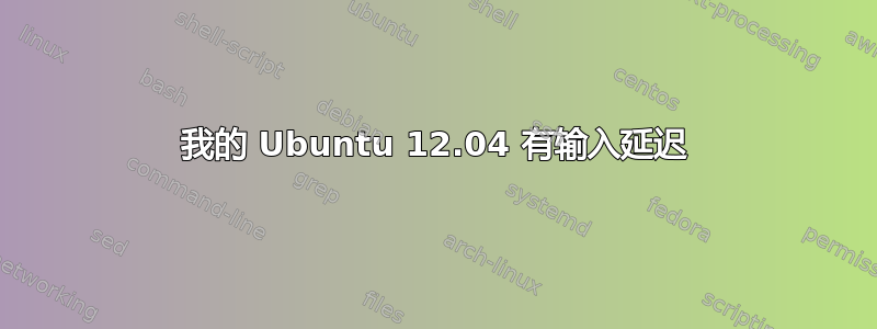 我的 Ubuntu 12.04 有输入延迟