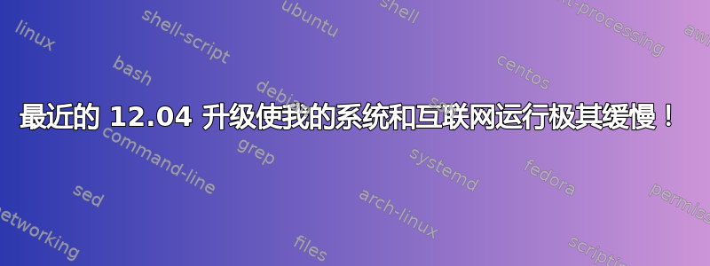 最近的 12.04 升级使我的系统和互联网运行极其缓慢！