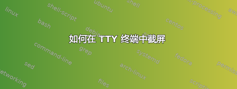 如何在 TTY 终端中截屏