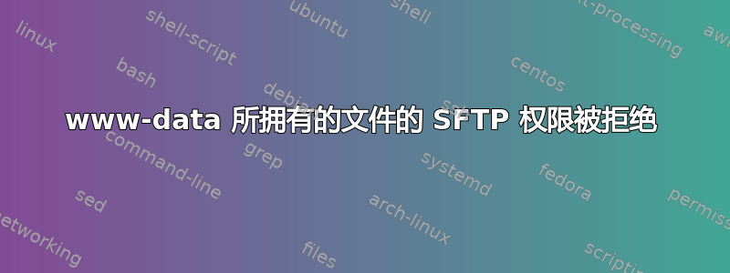 www-data 所拥有的文件的 SFTP 权限被拒绝