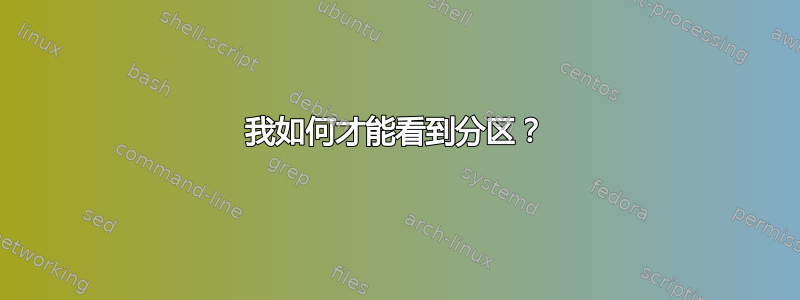 我如何才能看到分区？