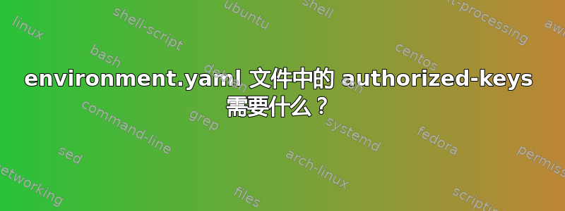 environment.yaml 文件中的 authorized-keys 需要什么？