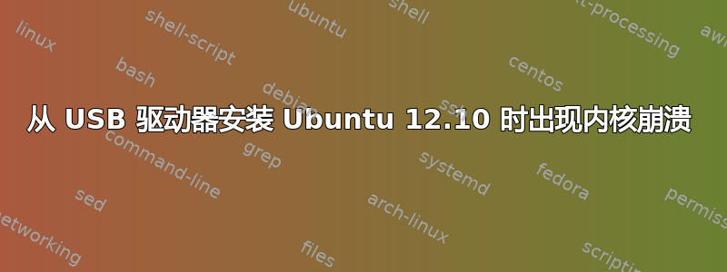 从 USB 驱动器安装 Ubuntu 12.10 时出现内核崩溃