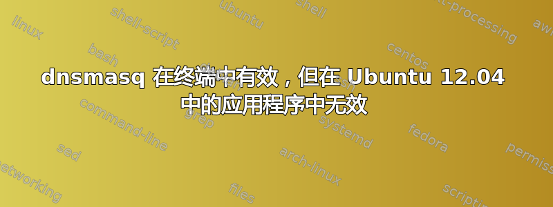 dnsmasq 在终端中有效，但在 Ubuntu 12.04 中的应用程序中无效