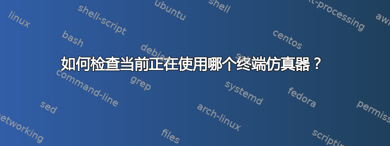 如何检查当前正在使用哪个终端仿真器？