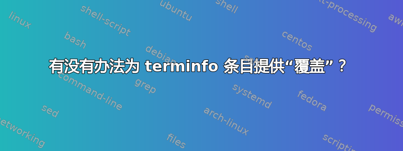 有没有办法为 terminfo 条目提供“覆盖”？