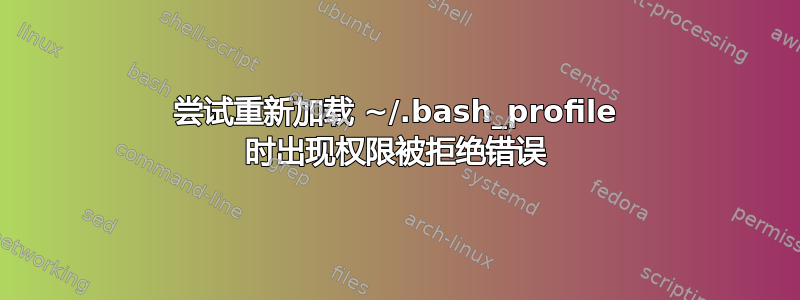 尝试重新加载 ~/.bash_profile 时出现权限被拒绝错误