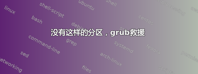 没有这样的分区，grub救援