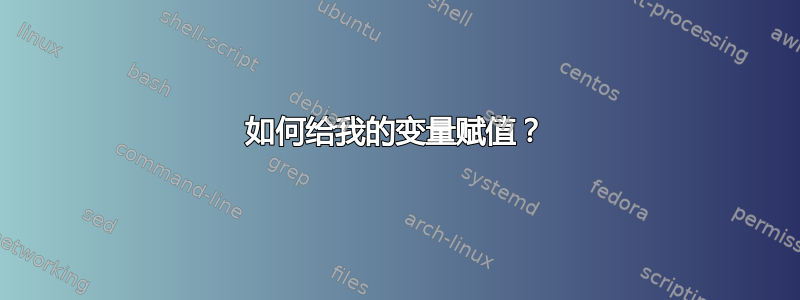 如何给我的变量赋值？