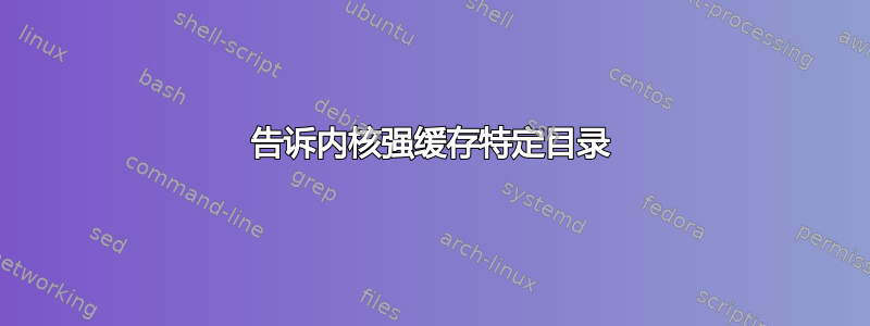 告诉内核强缓存特定目录