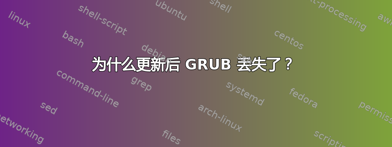 为什么更新后 GRUB 丢失了？