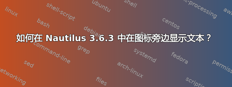 如何在 Nautilus 3.6.3 中在图标旁边显示文本？