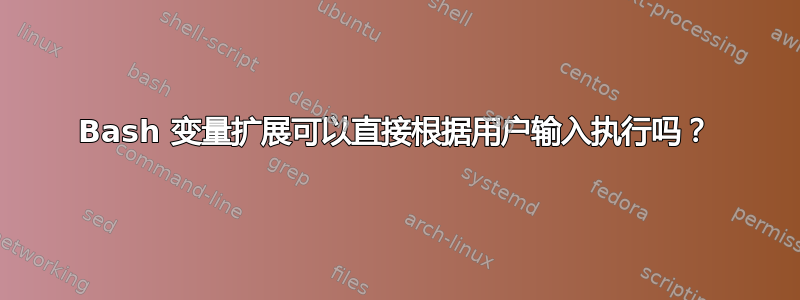 Bash 变量扩展可以直接根据用户输入执行吗？