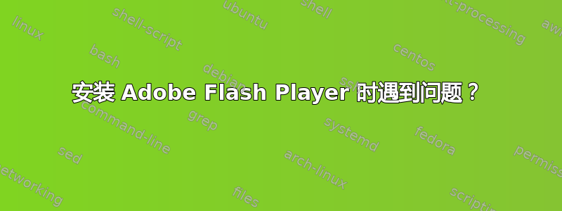 安装 Adob​​e Flash Player 时遇到问题？