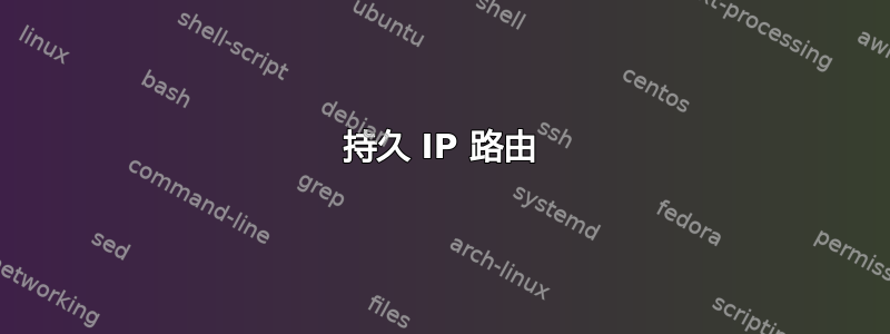 持久 IP 路由