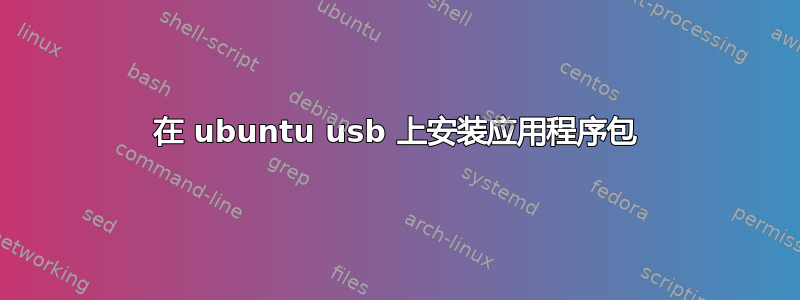 在 ubuntu usb 上安装应用程序包