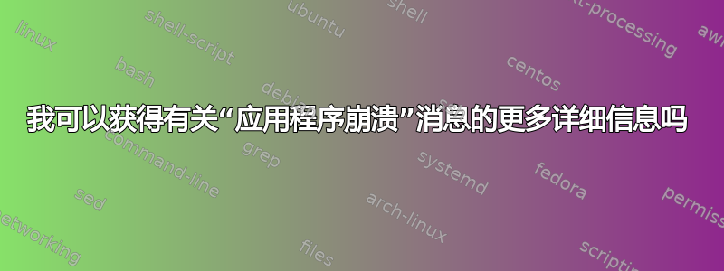 我可以获得有关“应用程序崩溃”消息的更多详细信息吗