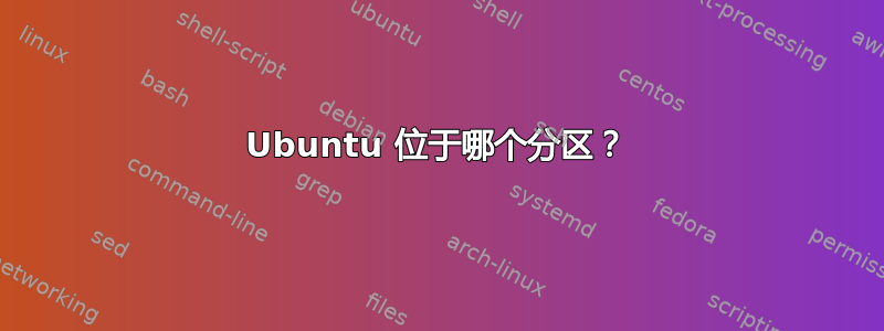 Ubuntu 位于哪个分区？