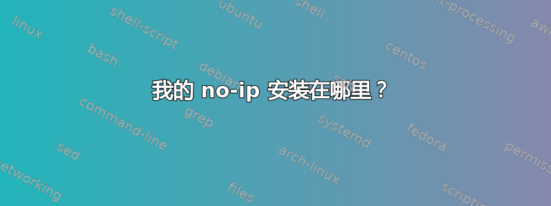 我的 no-ip 安装在哪里？