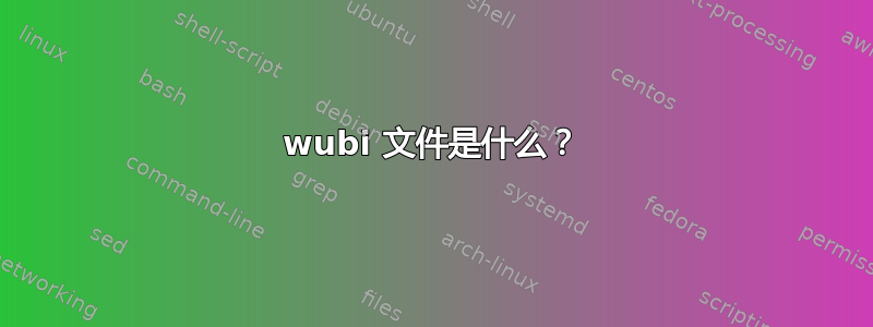 wubi 文件是什么？