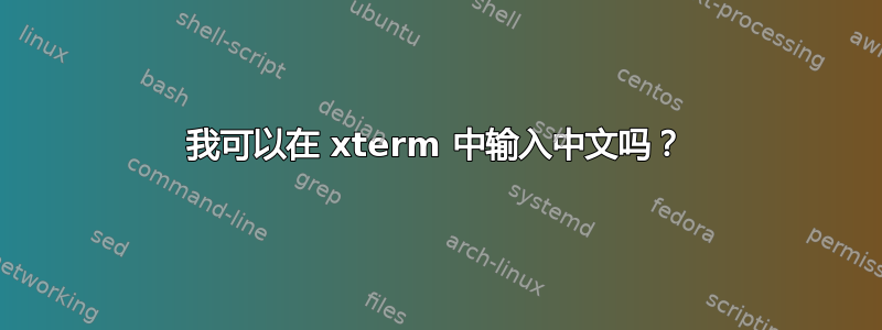 我可以在 xterm 中输入中文吗？