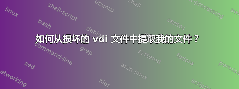 如何从损坏的 vdi 文件中提取我的文件？