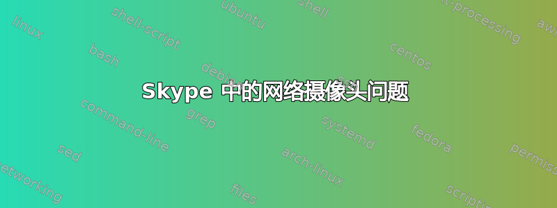 Skype 中的网络摄像头问题