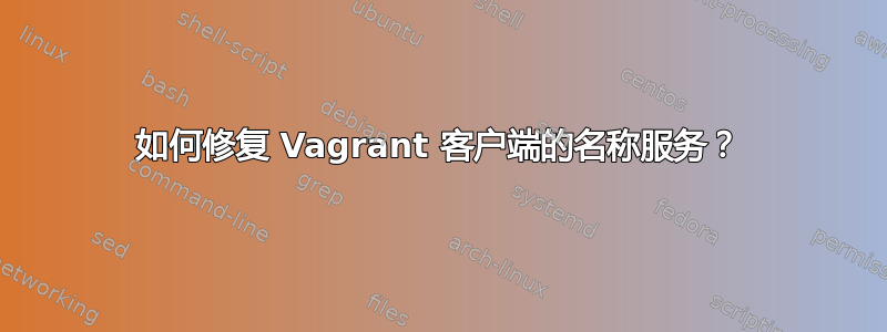 如何修复 Vagrant 客户端的名称服务？