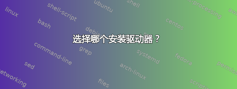 选择哪个安装驱动器？