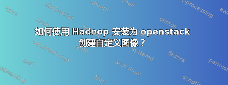 如何使用 Hadoop 安装为 openstack 创建自定义图像？