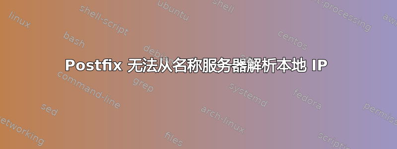 Postfix 无法从名称服务器解析本地 IP