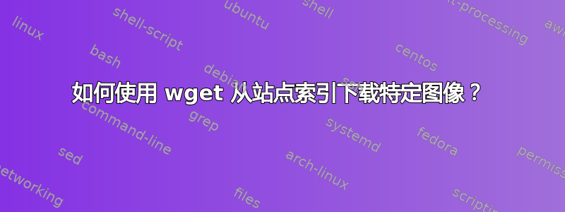 如何使用 wget 从站点索引下载特定图像？