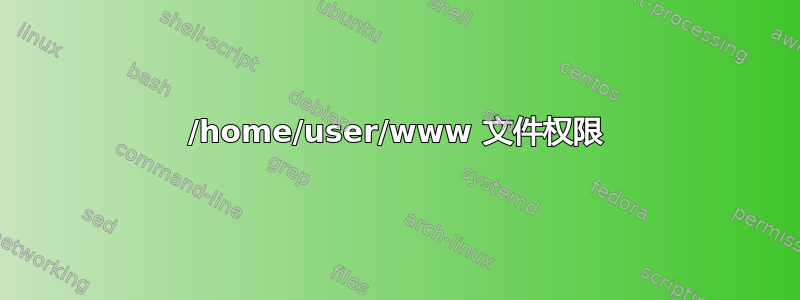 /home/user/www 文件权限