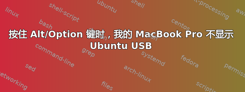 按住 Alt/Option 键时，我的 MacBook Pro 不显示 Ubuntu USB