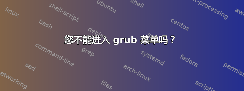 您不能进入 grub 菜单吗？