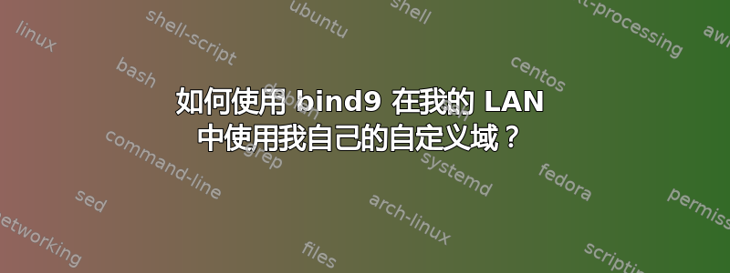 如何使用 bind9 在我的 LAN 中使用我自己的自定义域？