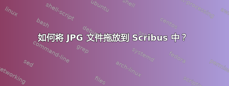 如何将 JPG 文件拖放到 Scribus 中？