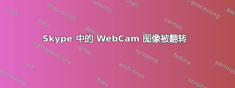 Skype 中的 WebCam 图像被翻转 