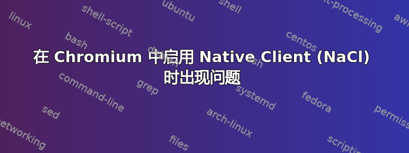 在 Chromium 中启用 Native Client (NaCl) 时出现问题