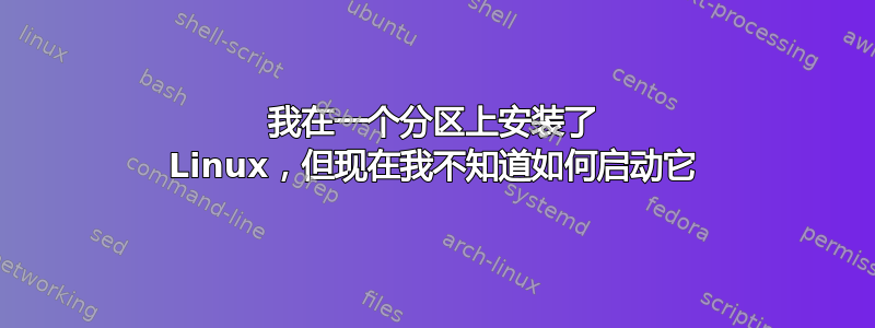 我在一个分区上安装了 Linux，但现在我不知道如何启动它