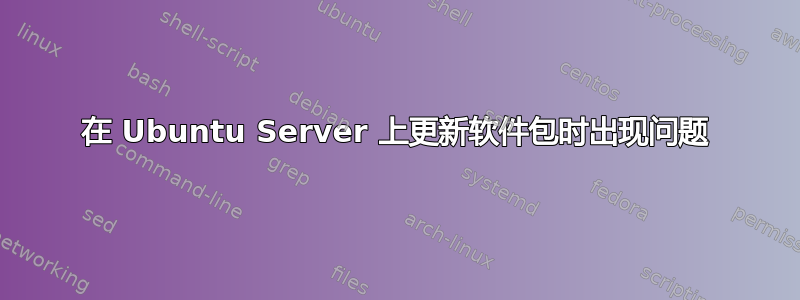 在 Ubuntu Server 上更新软件包时出现问题