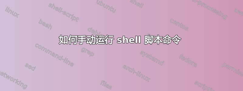 如何手动运行 shell 脚本命令